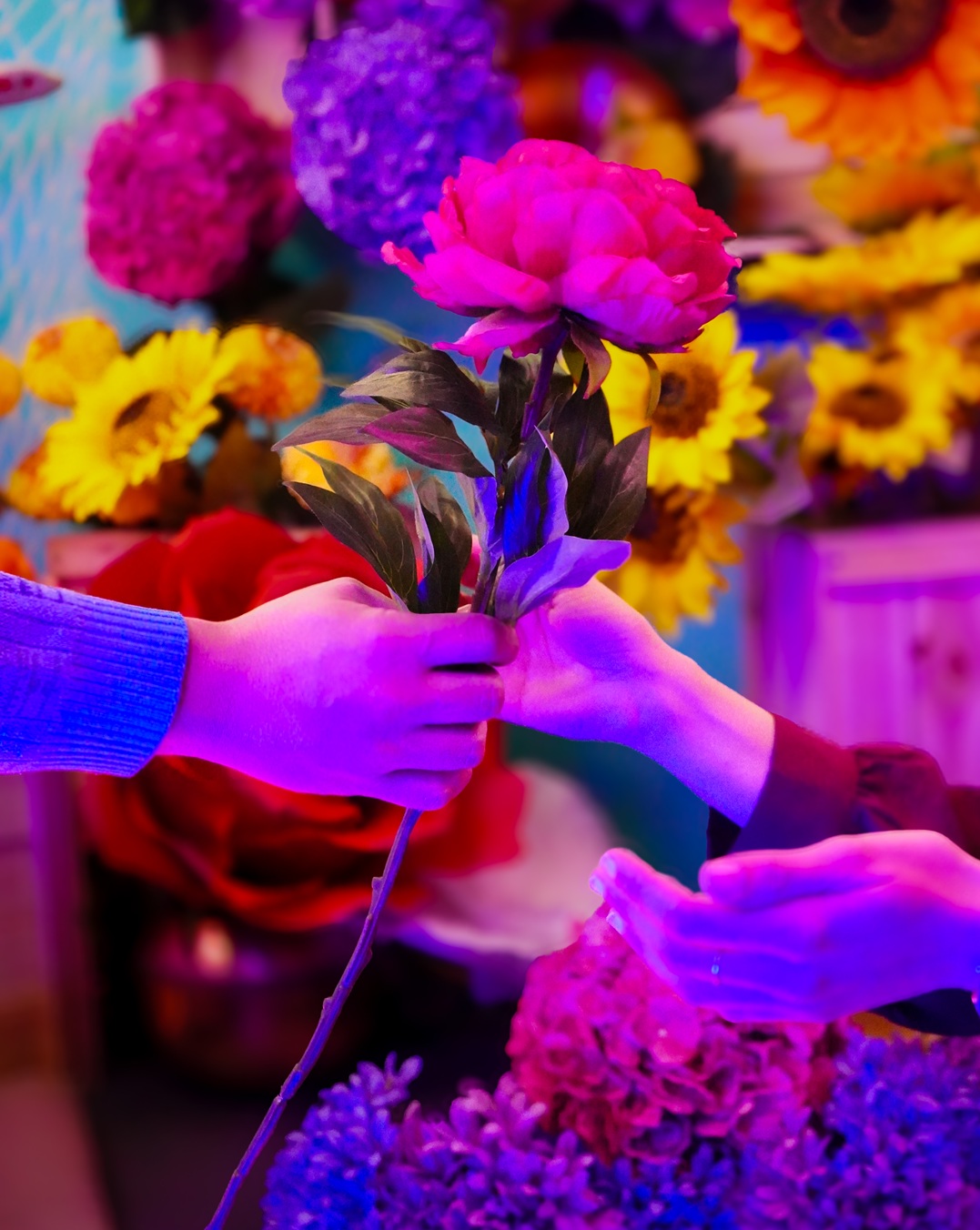 Duas pessoas a trocar uma flor colorida numa instalação imersiva do museu Neonia Porto.